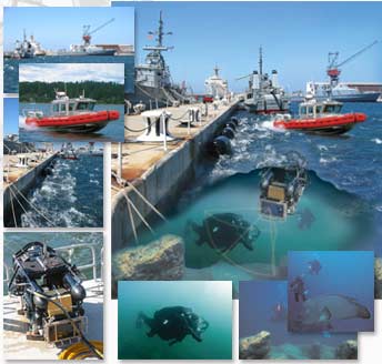 Component pictures and the final composite image produced for a CodaOctopus exhibition backdrop